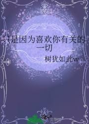 只是因为喜欢你有关的一切