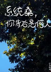 系统桑，你背后是何人！