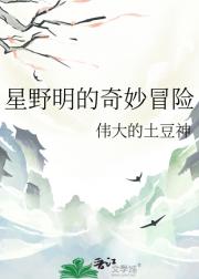 星野明的奇妙冒险