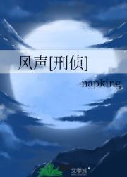 风声[刑侦]