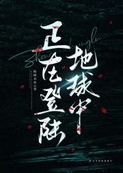 正在登陆地球中