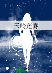 云岭迷雾