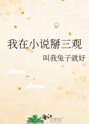 我在小说掰三观