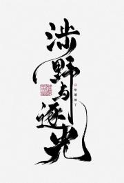 涉野与逐光