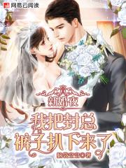 新婚夜，我把封总裤子扒下来了