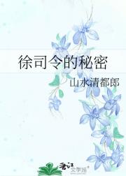 徐司令的秘密