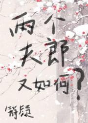 两个夫郎又如何？（女尊）