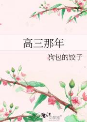 高三那年