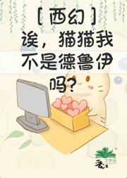 ［西幻］诶，猫猫我不是德鲁伊吗？
