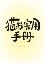 猫形实用手册