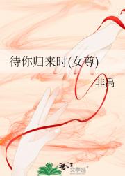 待你归来时(女尊)