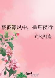莜莜凛风中，孤舟夜行