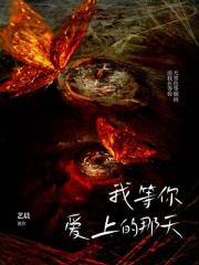 我等你爱上的那天