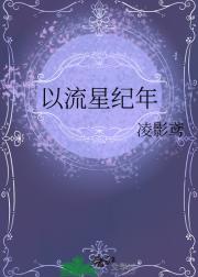 以流星纪年