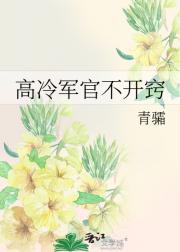 高冷军官不开窍