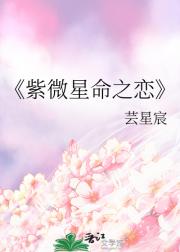 紫微星命之恋