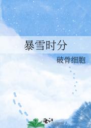 暴雪时分