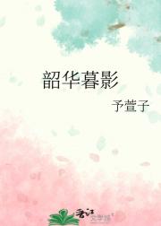 韶华暮影