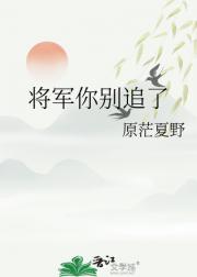 将军你别追了