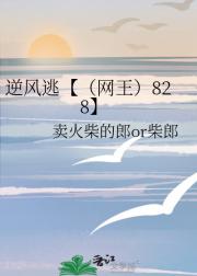 逆风逃【（网王）828】