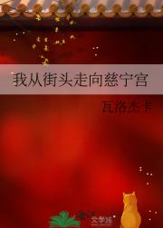 我从街头走向慈宁宫