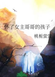 怀了女主哥哥的孩子