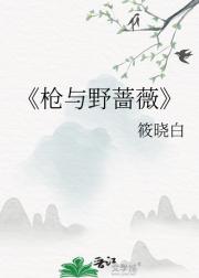 枪与野蔷薇