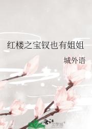 红楼之宝钗也有姐姐