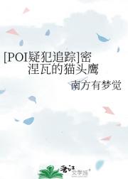 【POI疑犯追踪】密涅瓦的猫头鹰