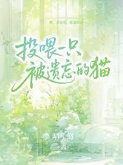 投喂一只被遗忘的猫