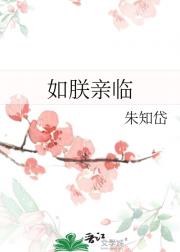 如朕亲临