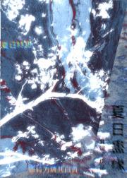 夏日蛊缘