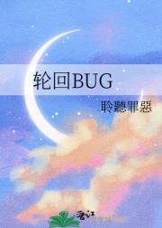 轮回BUG