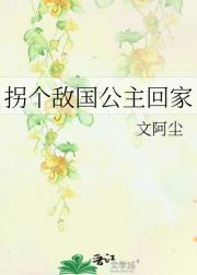 拐个敌国公主回家