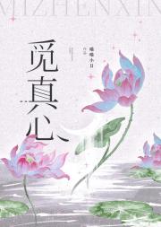 觅真心