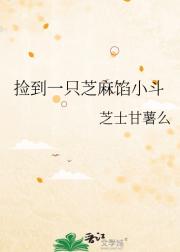 捡到一只芝麻馅小斗