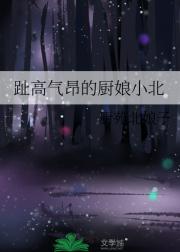趾高气昂的厨娘小北