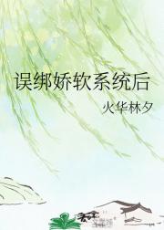 系统逼我当限制文女主