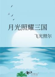 月光照耀三国