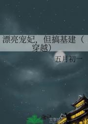 漂亮宠妃，但搞基建（穿越）