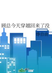 顾总今天穿越回来了没