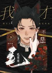 我才不是毛茸茸[向哨]