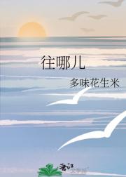 往哪儿