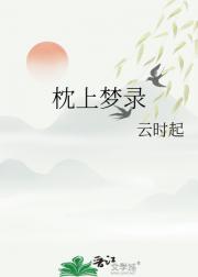 枕上梦录