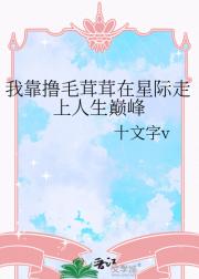我靠撸毛茸茸在星际走上人生巅峰