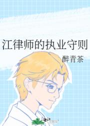 江律师的执业守则