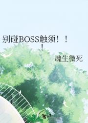 别碰BOSS触须！！！