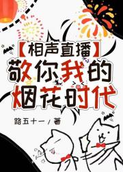 敬你我的烟花时代