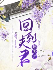 回到夫君年少时（重生）