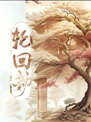 轮回劫